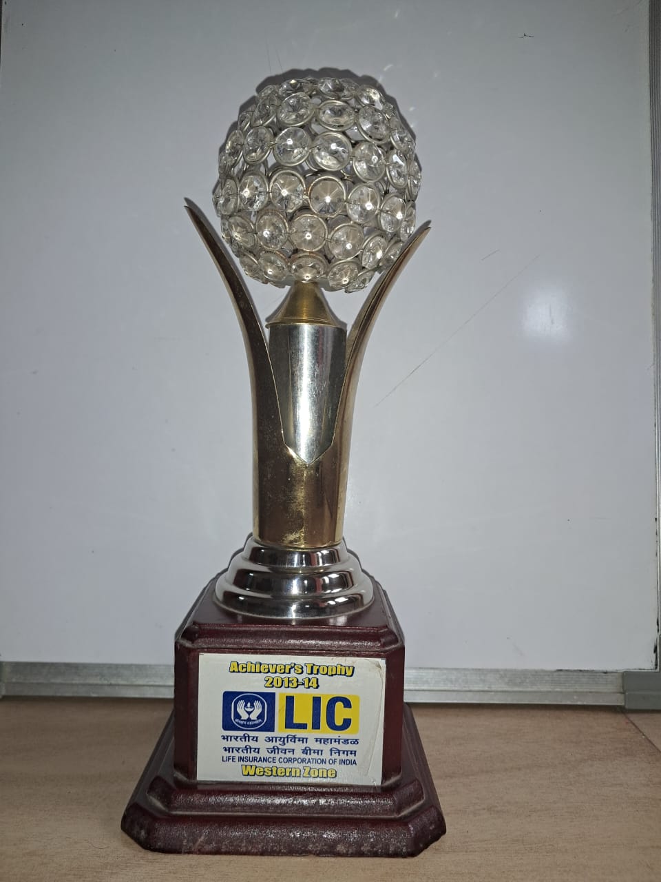 Achiever's Trophy 2013-14